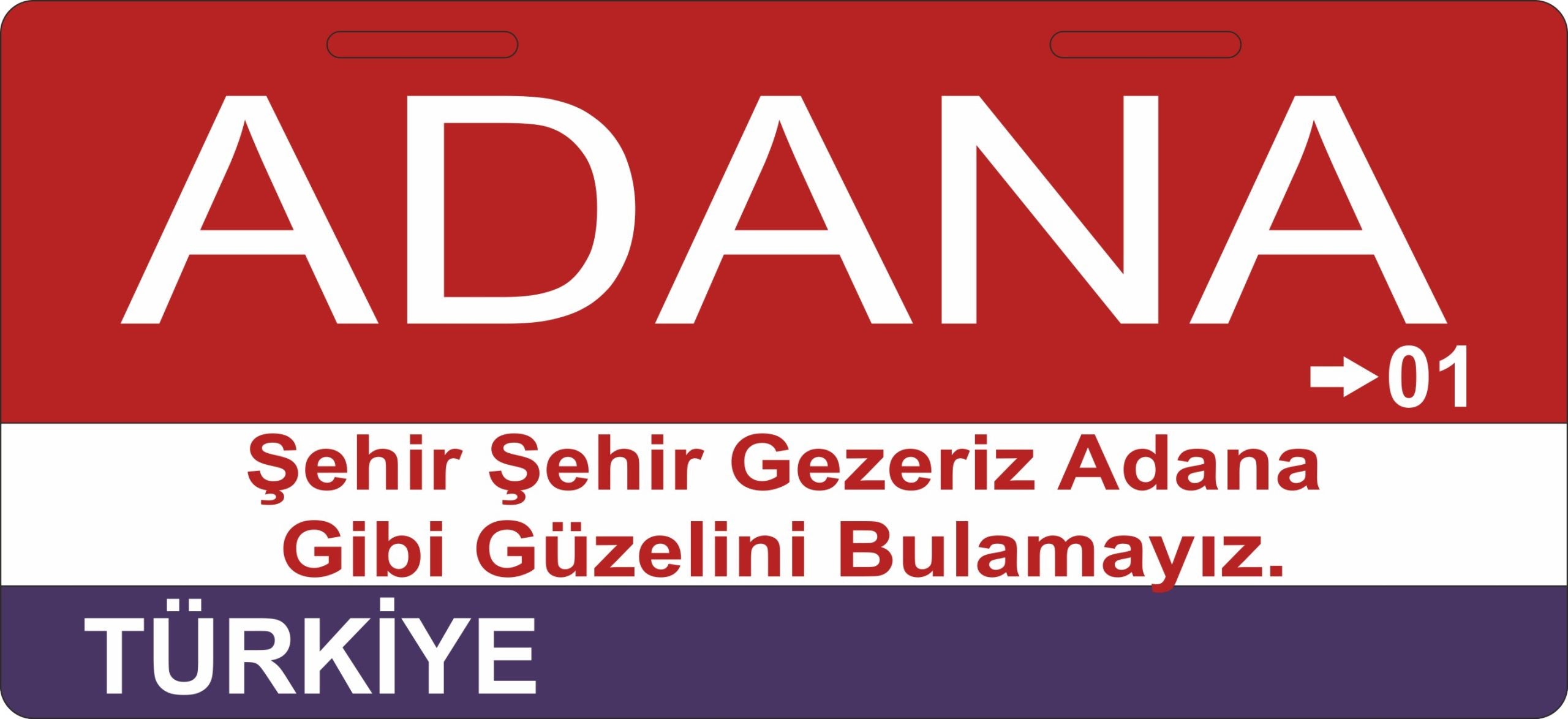Adana Sokak Tabelası Ahşap Poster 11x24cm