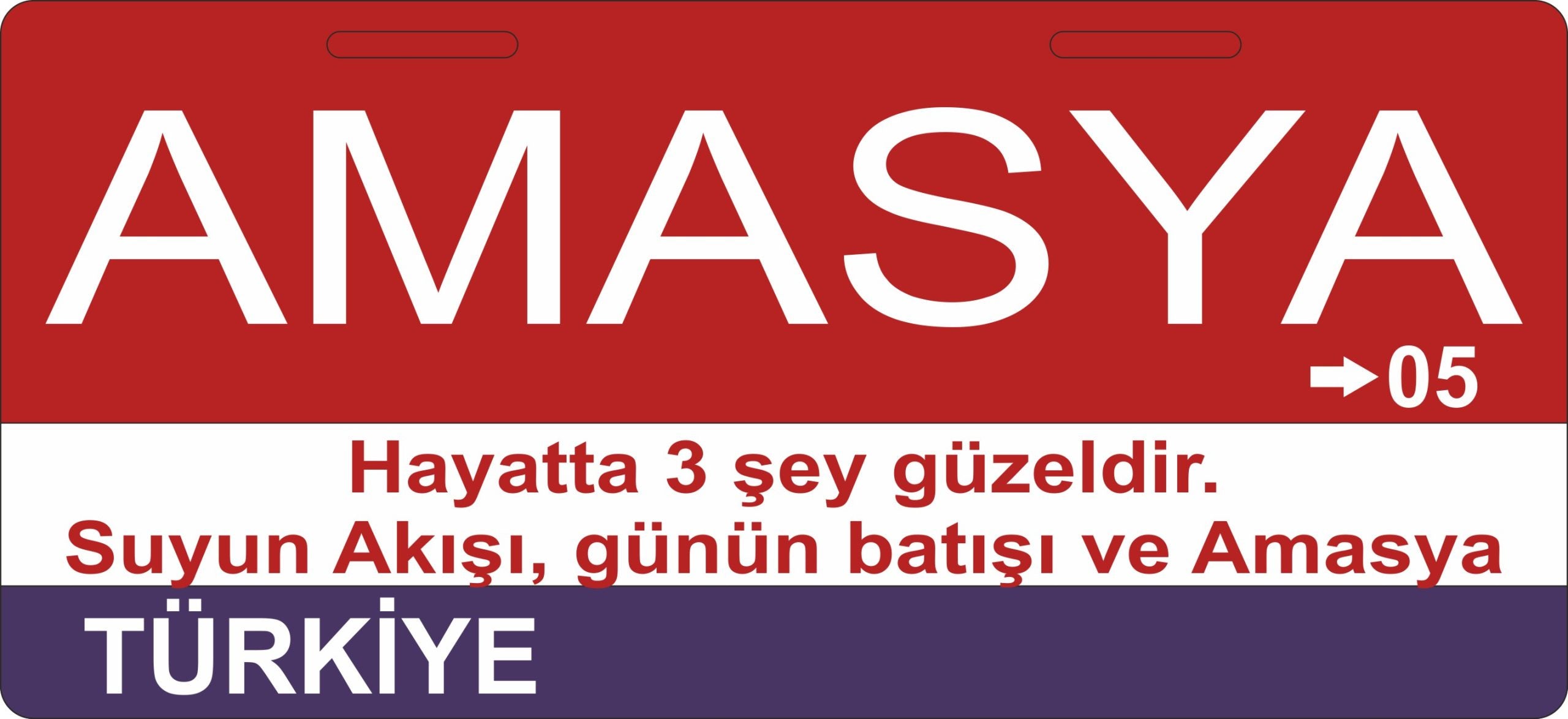 Amasya Sokak Tabelası Ahşap Poster 11x24cm