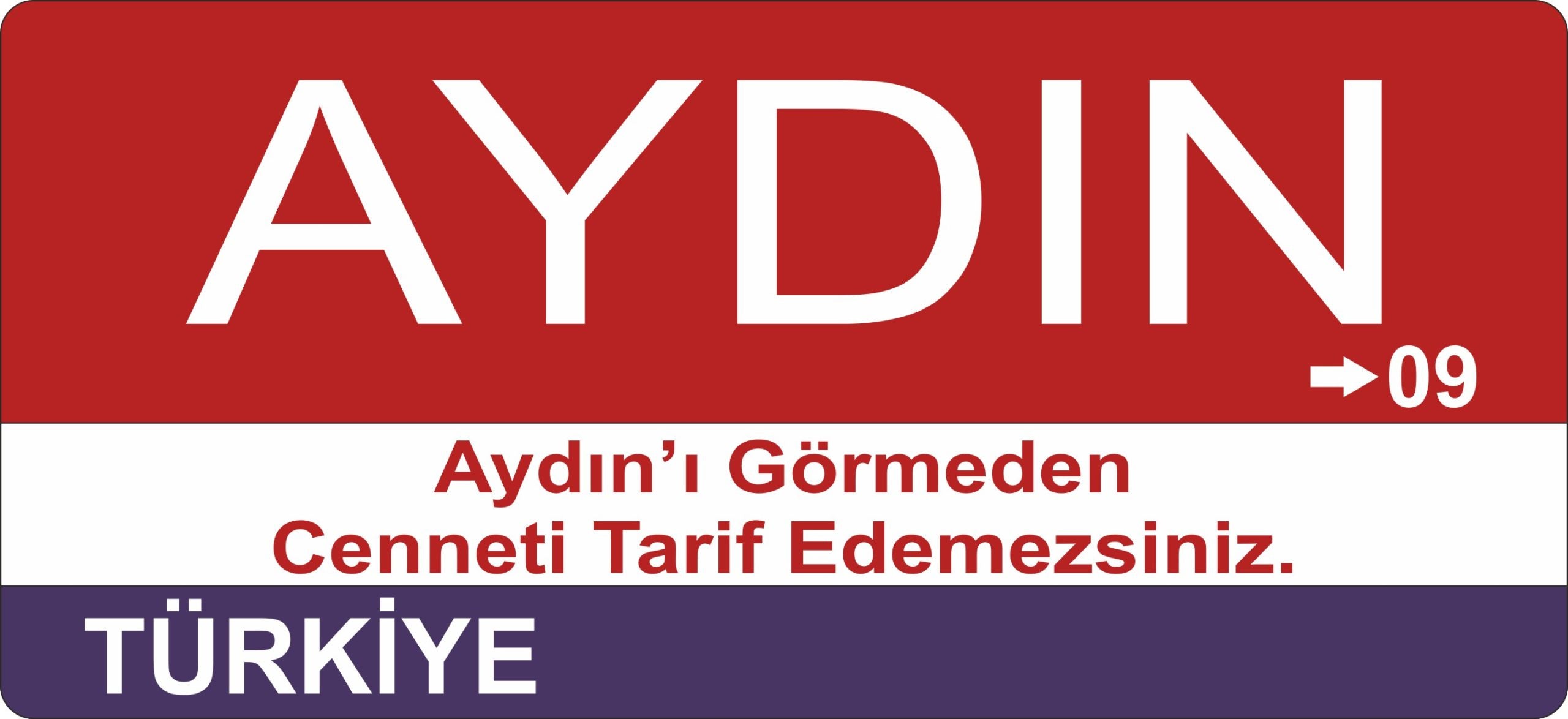 Aydın Sokak Tabelası Ahşap Poster 11x24cm