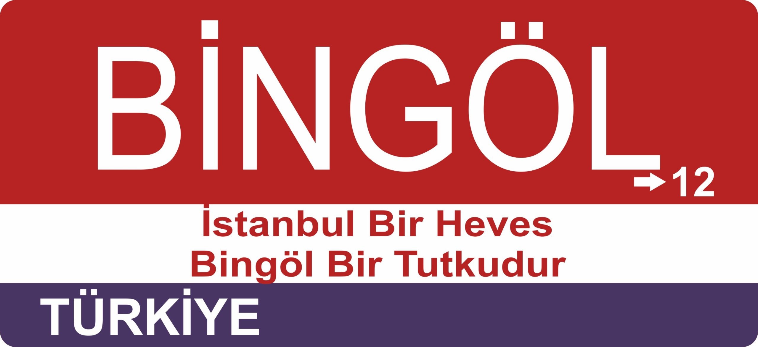 Bingöl Sokak Tabelası Ahşap Poster 11x24cm