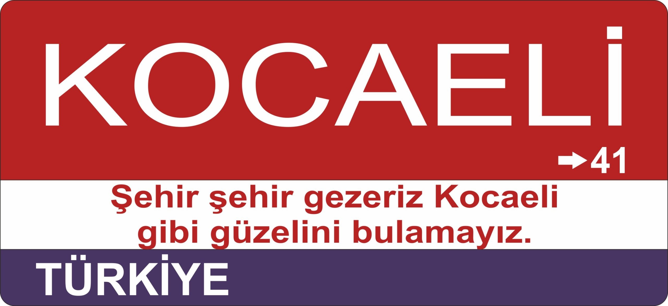 Kocaeli Sokak Tabelası Ahşap Poster 11x24cm