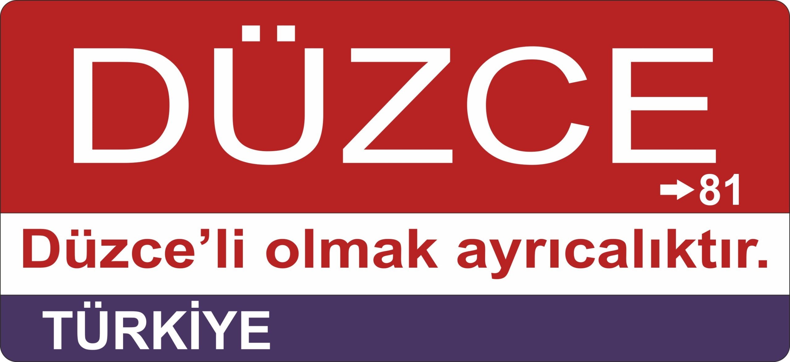 Düzce Sokak Tabelası Ahşap Poster 11x24cm