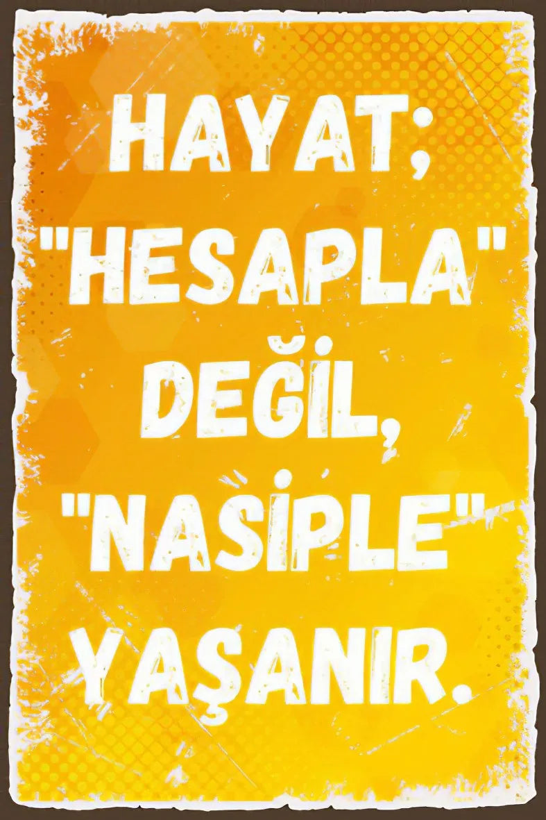 Hayat Hesapla Değil Nasiple Yaşanır Poster No:203