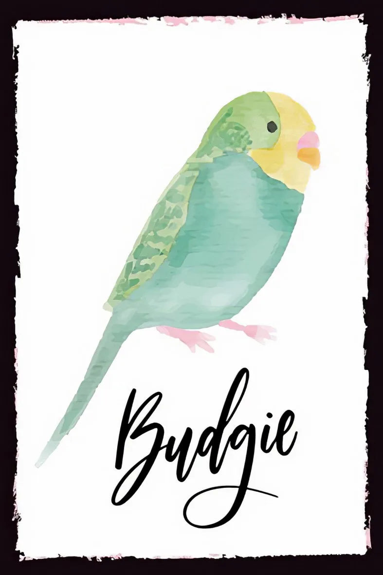 Budgie Temalı Retro Ahşap Poster No:116