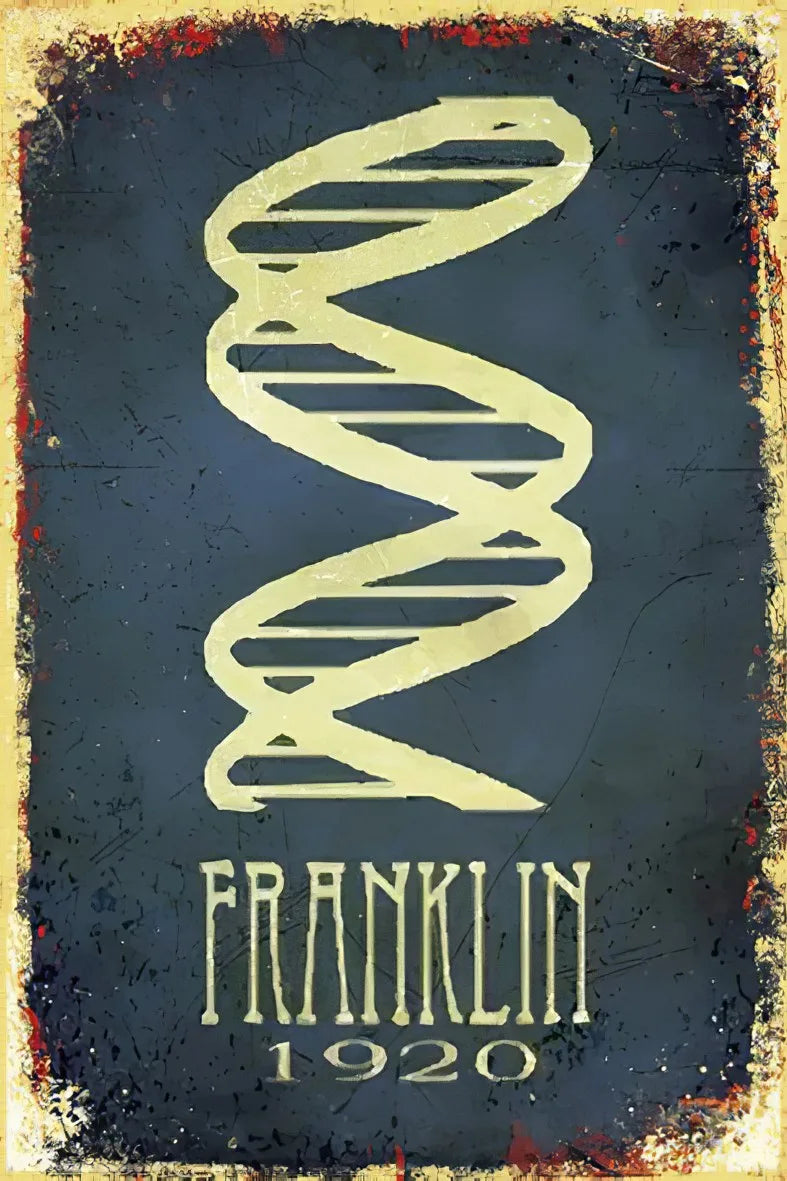 Franklin 1920 Retro Ahşap Poster No:300