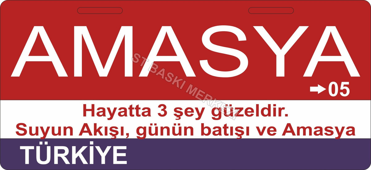 Amasya Sokak Tabelası Ahşap Poster 11x24cm
