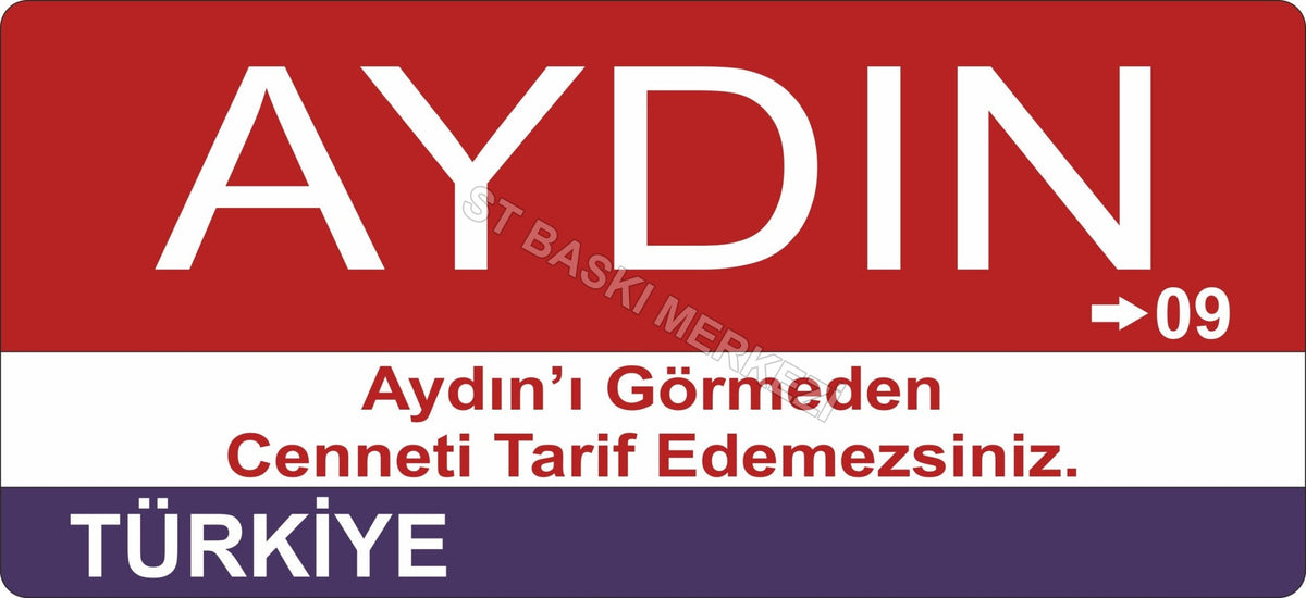 Aydın Sokak Tabelası Ahşap Poster 11x24cm