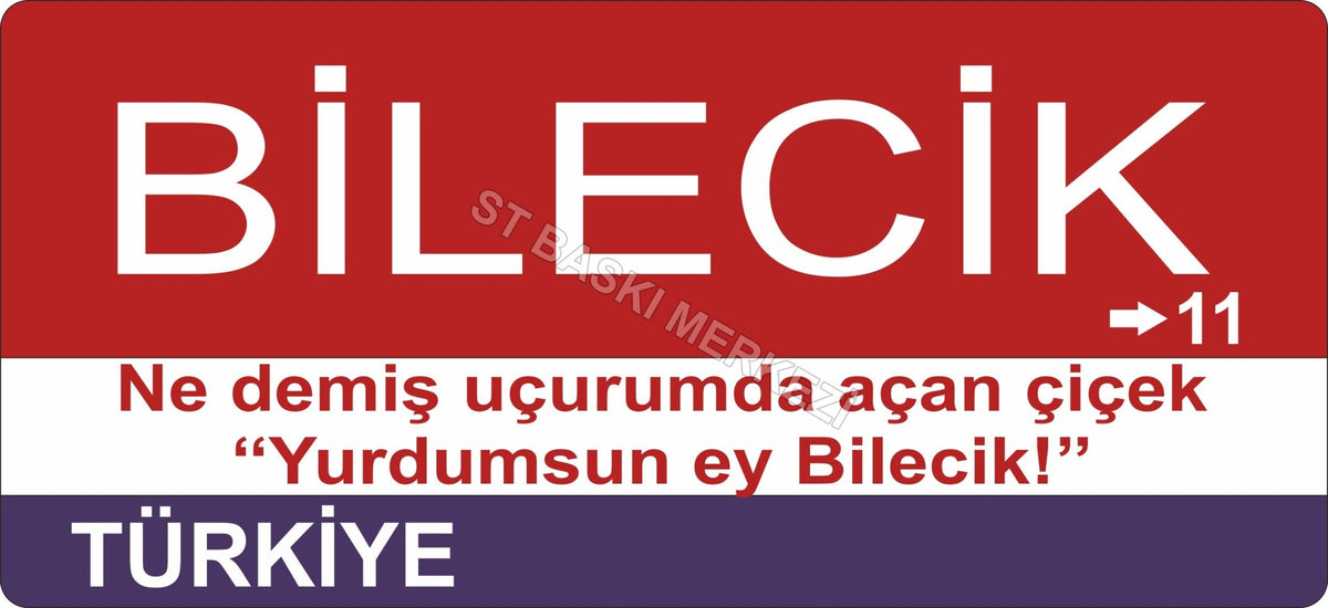 Bilecik Sokak Tabelası Ahşap Poster 11x24cm