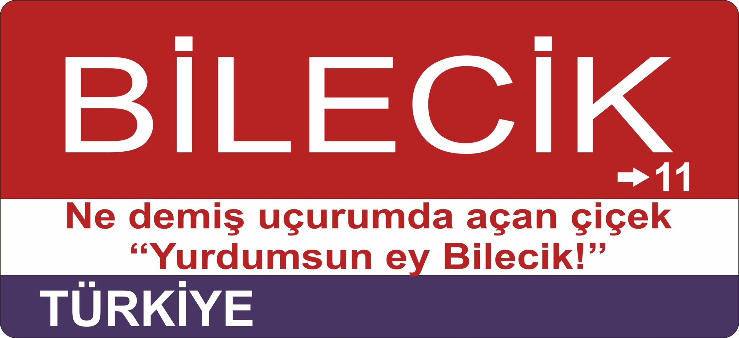 Bilecik Sokak Tabelası Ahşap Poster 11x24cm