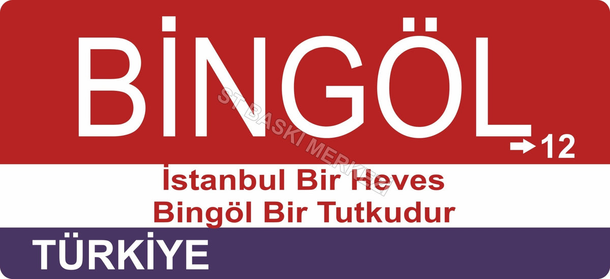 Bingöl Sokak Tabelası Ahşap Poster 11x24cm