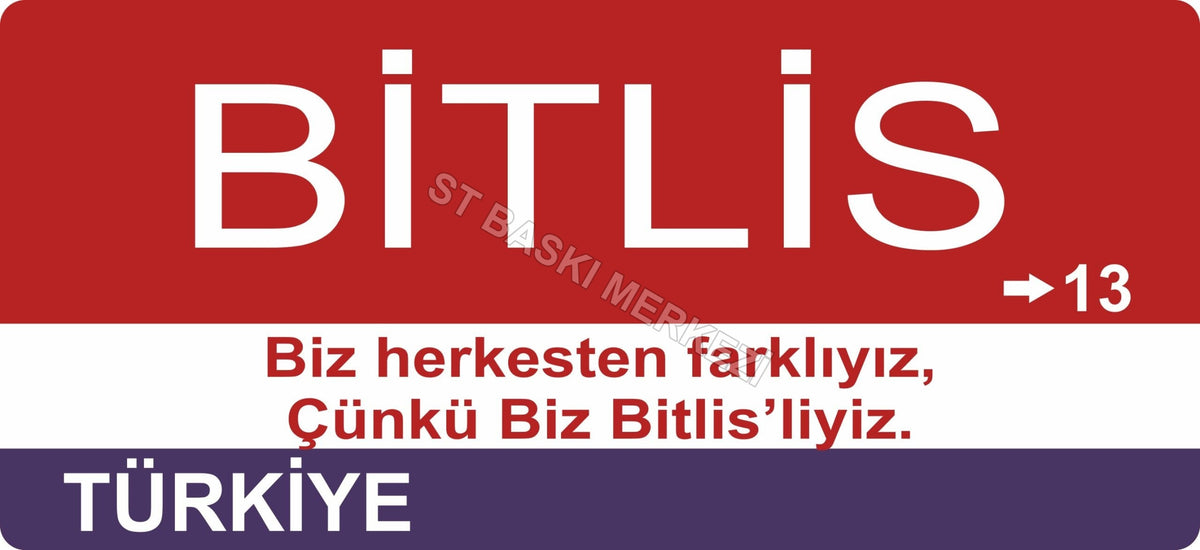 Bitlis Sokak Tabelası Ahşap Poster 11x24cm