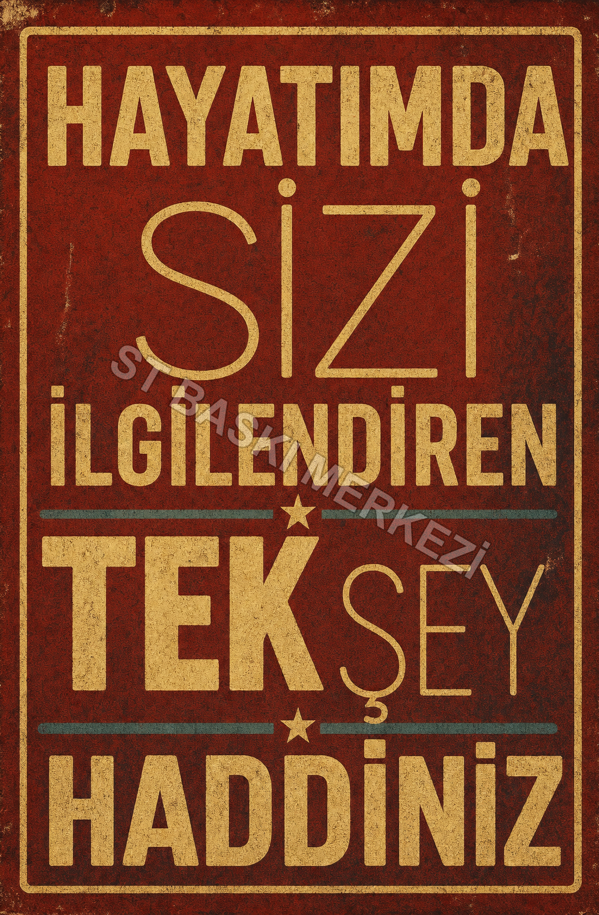 Hayatımda Sizi İlgilendiren Tek Şeyi Haddiniz Ahşap Poster 1368
