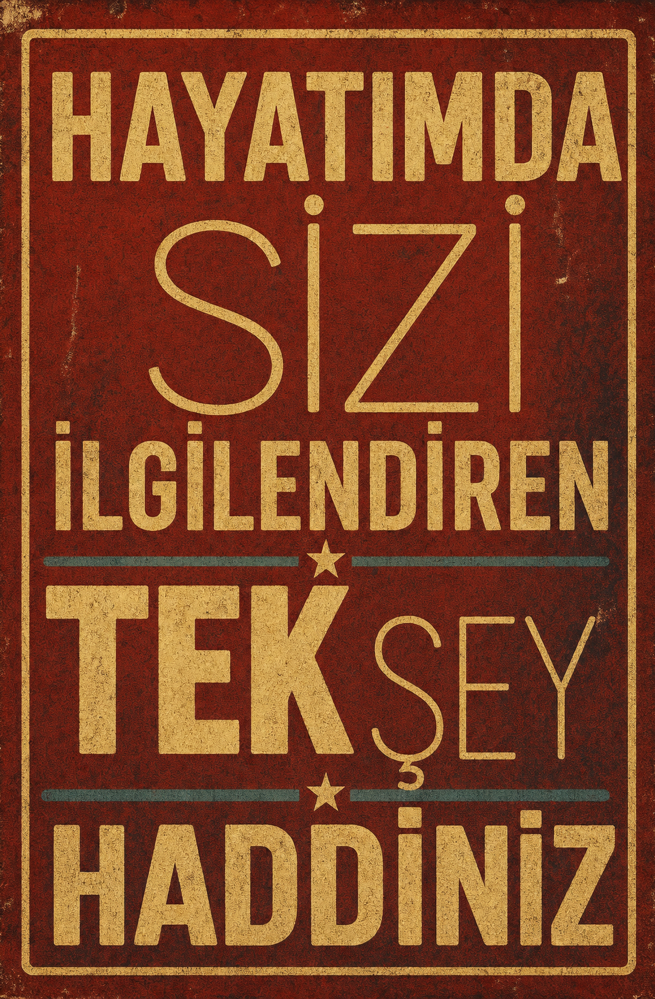 Hayatımda Sizi İlgilendiren Tek Şeyi Haddiniz Ahşap Poster 1368