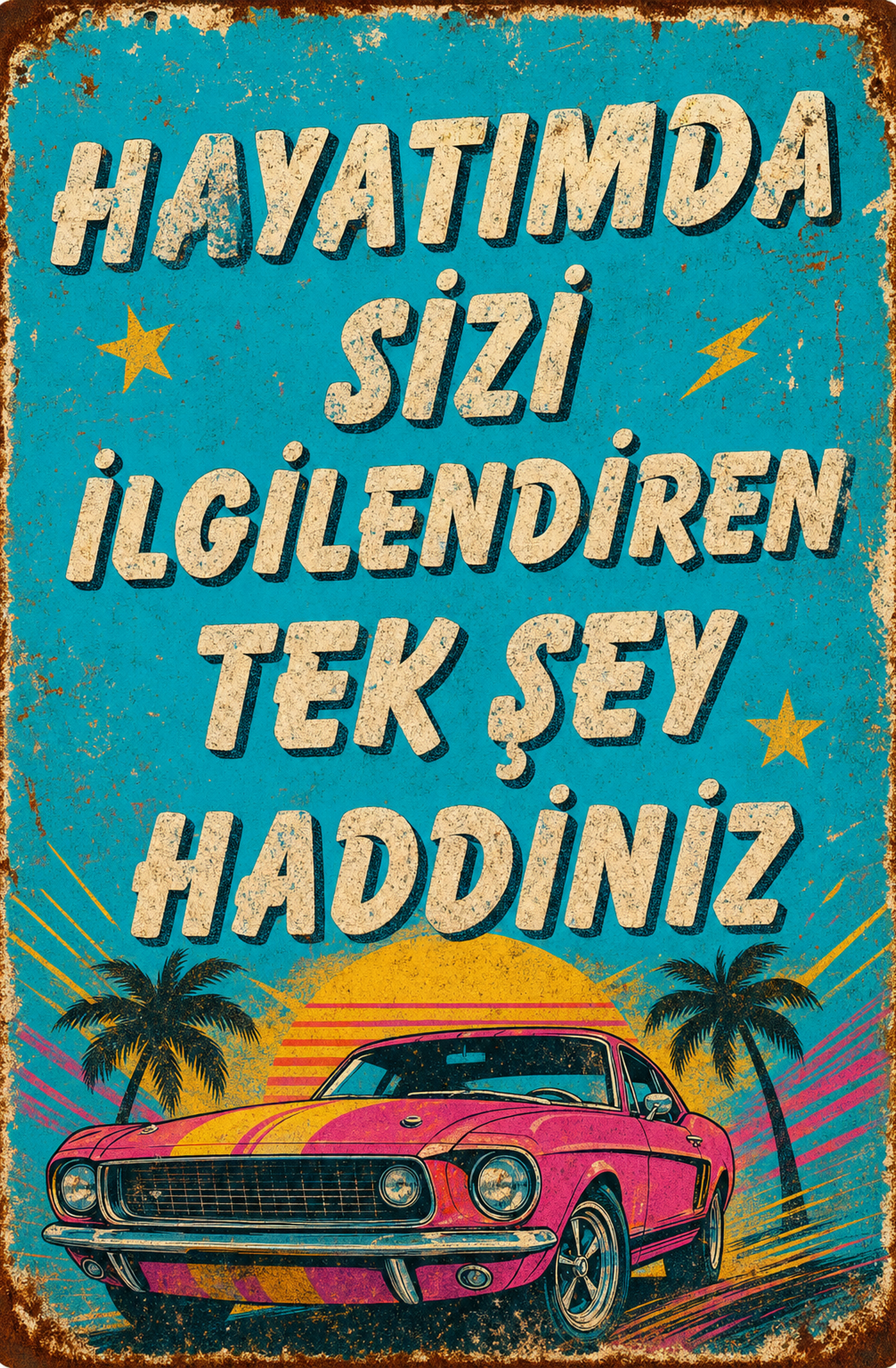 Hayatımda Sizi İçilendiren Tek Şey Haddiniz Ahşap Poster 1439