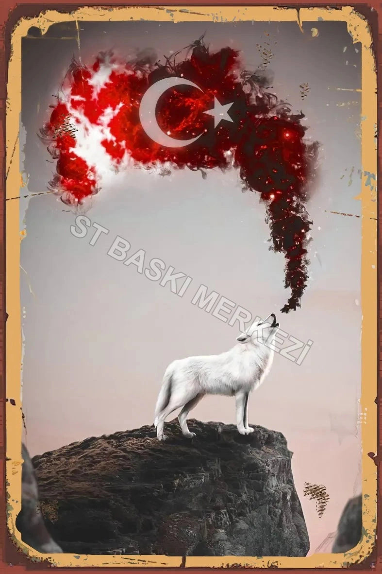 Türk Retro Ahşap Poster No:815