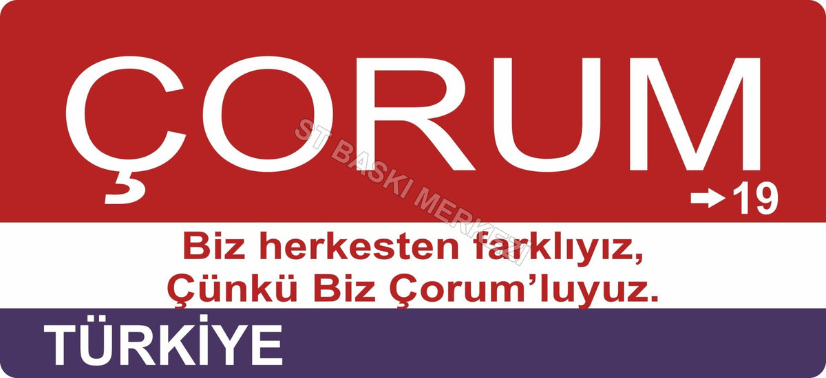 Çorum Sokak Tabelası Ahşap Poster 11x24cm