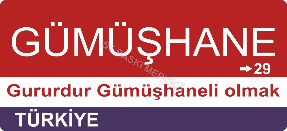 Gümüşhane Sokak Tabelası Ahşap Poster 11x24cm