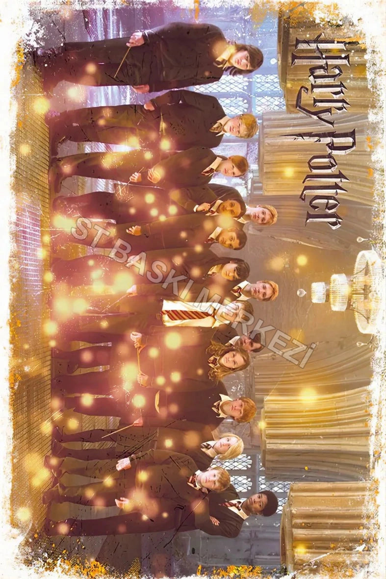 Harry Potter Retro Ahşap Poster No:452