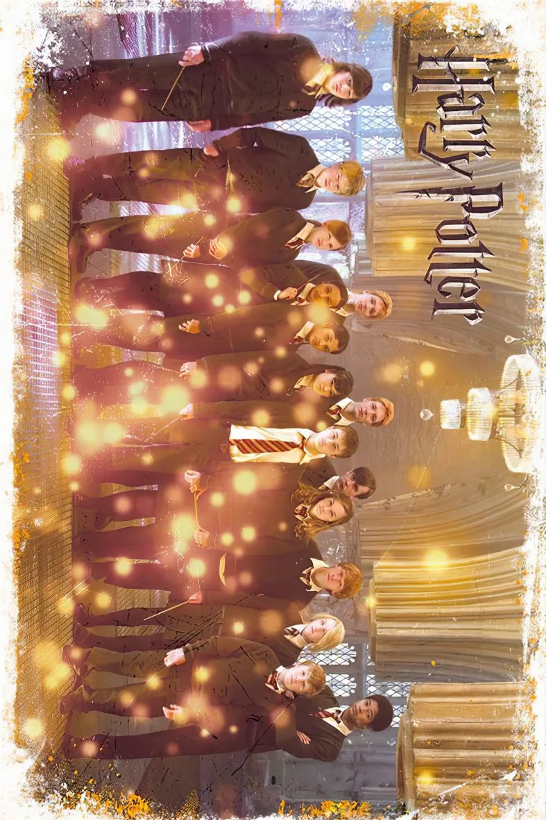 Harry Potter Retro Ahşap Poster No:452