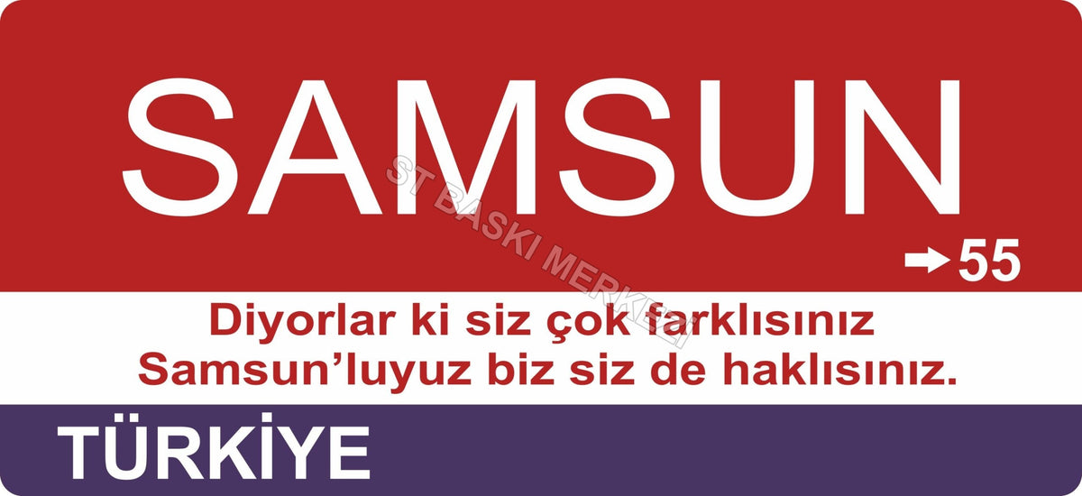 Samsun Sokak Tabelası Ahşap Poster 11x24cm