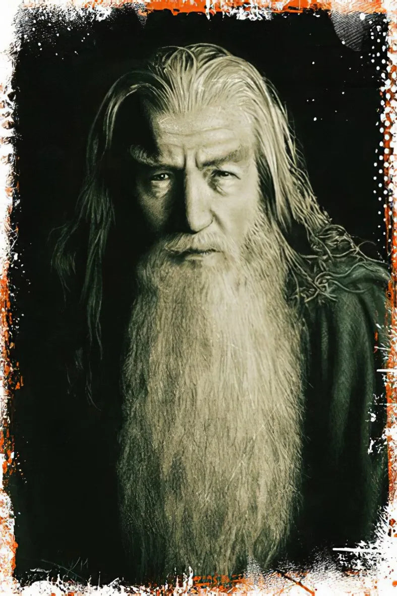 Yüzüklerin Efendisi Retro Poster No:178