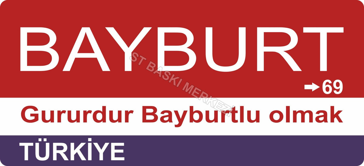 Bayburt Sokak Tabelası Ahşap Poster 11x24cm