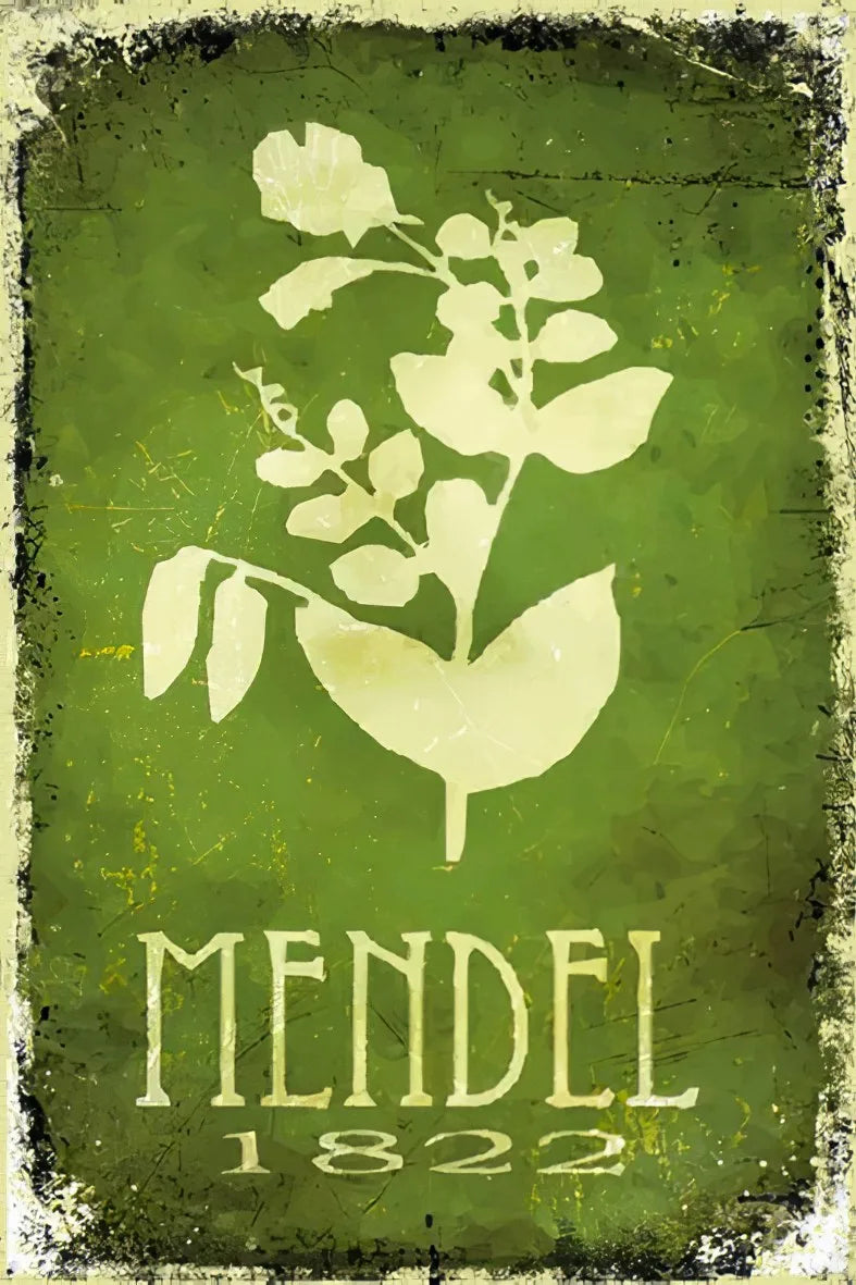 Mendel 1822 Retro Ahşap Poster No:281