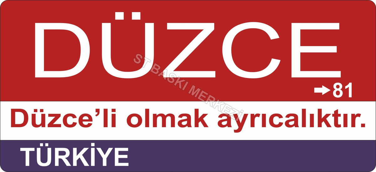 Düzce Sokak Tabelası Ahşap Poster 11x24cm