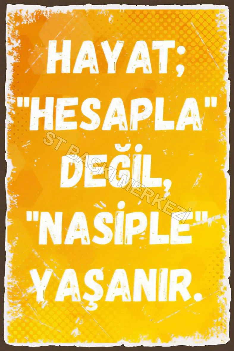 Hayat Hesapla Değil Nasiple Yaşanır Poster No:203