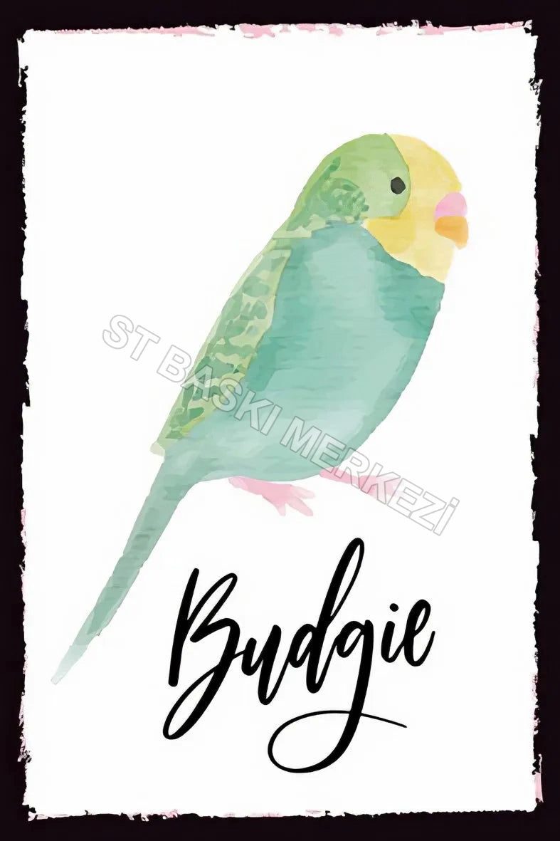 Budgie Temalı Retro Ahşap Poster No:116