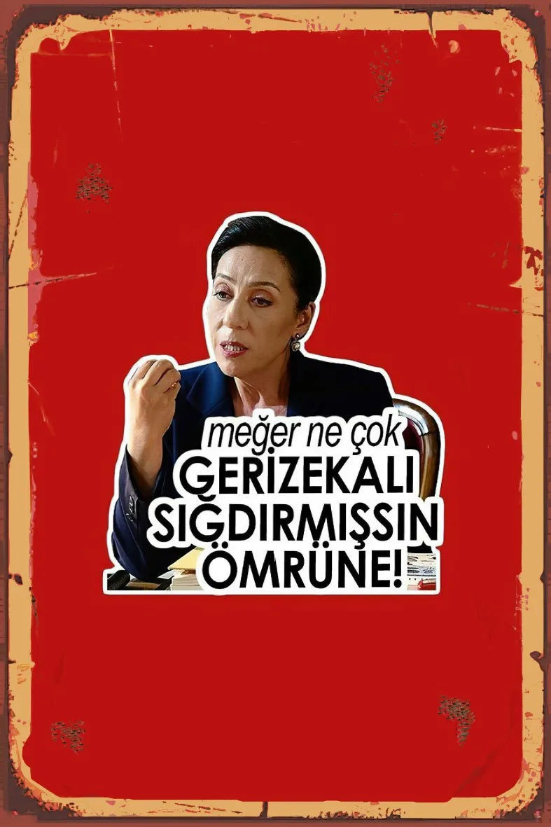 Meğer Ne Çok Gerizekalı Sığdırmışsın Ömrüne Retro Ahşap Poster No:843