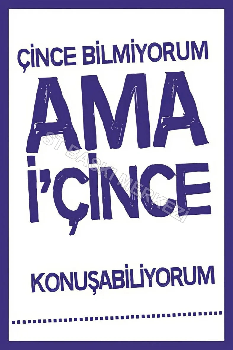 Çince bilmiyorum Ama Alkol Temalı Ahşap Poster No:541
