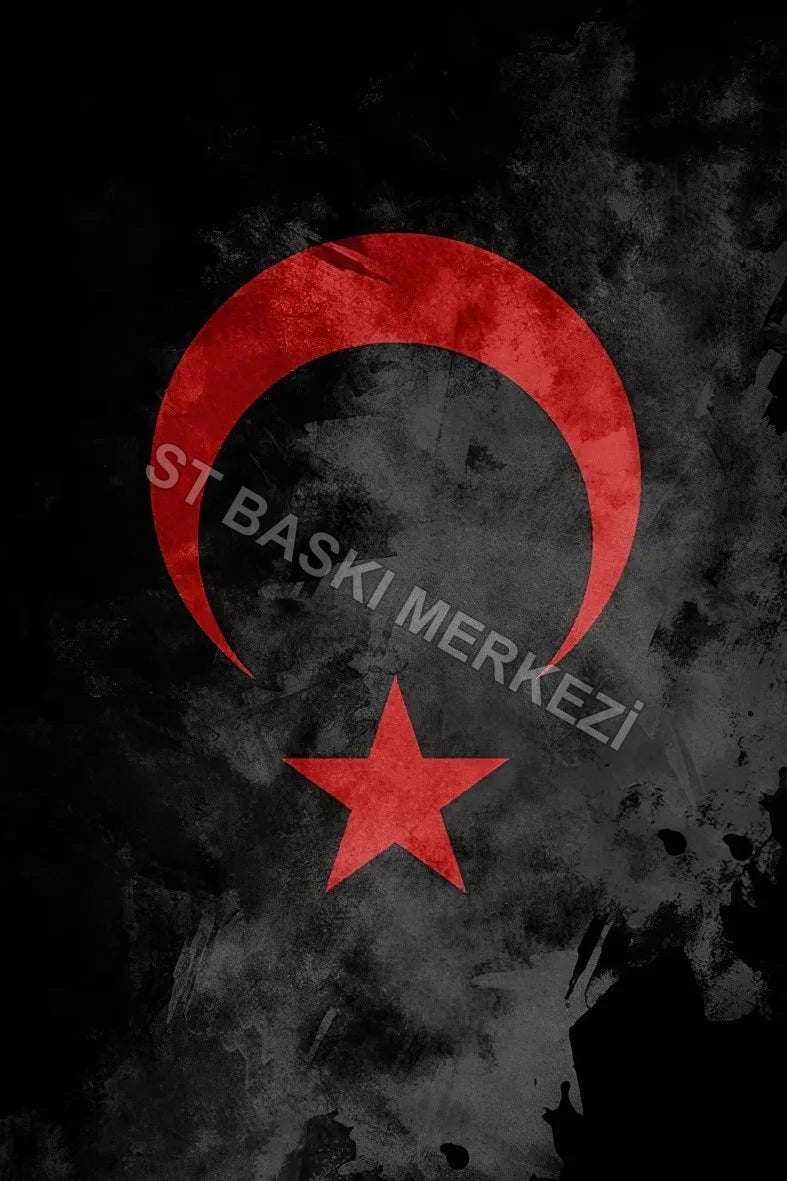 Türk Retro Ahşap Poster No:813