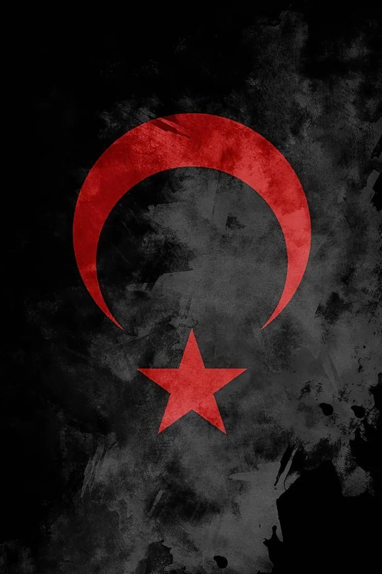 Türk Retro Ahşap Poster No:813